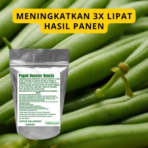 Pupuk Booster Buncis Pelebat Organik Cepat Berbuah Lebat Besar Anti Rontok Pembesar Buncis