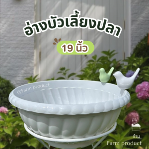 อ่างเลี้ยงปลา อ่างบัว กระถางต้นไม้ (อ่างนก) ตกแต่งสวน สไตล์อังกฤษ