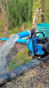 ปั๊มสูบน้ำ ปั๊มเพลาลอย Dc 48v - 150v มอเตอร์ 1.5 แรง ทำงานตามแสงแดดทั้งวัน