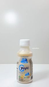 YoyiC (1 Lusin isi 12 Botol) 130ml Murah Bisa Mix Rasa Original Jeruk Blueberry Peach Strawberry Minuman Probiotik Yogurt dan fermentasi Susu Yoyic Promo BPOM Halal | Paket Usaha