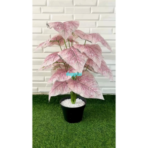 Pohon Plastik tanaman Artificial Calladium Pink Full X18 Semilatex Pot Dasar Hitam Pajangan Sudut Ruang Tau