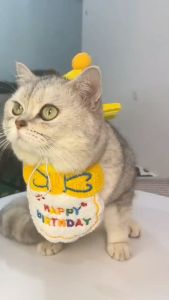 [SG Stock] Pet Adorable Birthday Party Bib and Hat for Cats and Dogs