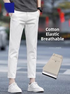 ROMON | Lormen Mens Nine-Fit Casual Pants Summer Thin Straight Leg Slim Business West Pants Ice Silk Beige Long Trendy Trousers