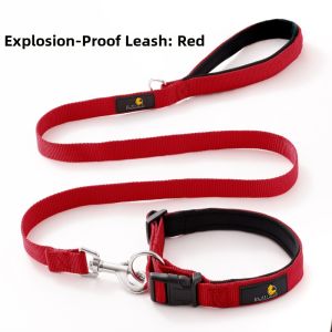 petlimit | Medium to Large Dog Leash for Various Breeds Neck Collar Included