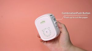 Portable Label Maker Machine P10Pro - Numeric Keypad Label Printer No Bluetooth Needed Tape Included Easy to Use for Office and Home USB Rechargeable