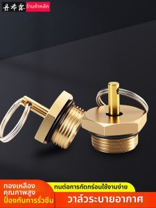 danxilu | Air Tank Drain Valve for Trucks
