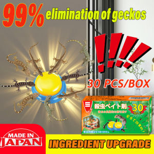 30pcs/Large capacity ! ECeta  Lizard killer Cicak killer lizard killer bait New upgrade effect doubled ！Ubat cicak Racun cicak paling kuat 壁虎药