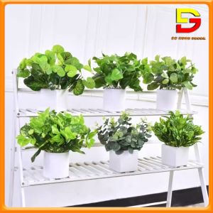Chậu Cây Để Bàn Cây Giả Decor Cắm Sẵn Nhiều Mẫu Trang Trí Bàn Làm Việc Kệ Tủ Nhà Hàng Khách Sạn DG-175