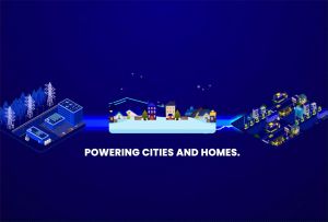 PHELPS DODGE PD THHN/THWN-2 2.0mm2 3.5mm2 5.5mm2 8.0mm2 Stranded Copper Wire ( 8 10 12 14) BY METER