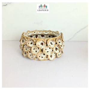 The Leaferie Handmade Lora plant pots Ceramic flowerpot flowerpots flower pot planter