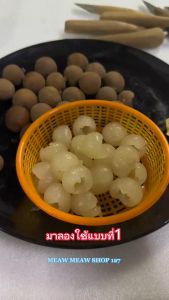 ที่คว้านเม็ดลำไยสด มีดคว้านลำไย ปอกเปลือกลำไยสด มี 3 แบบ ด้ามจับไม้ (งานแฮนเมด)