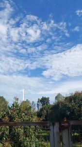 จานซิลิโคนก้นดูด เข้าไมโครเวฟได้ เด็ก เด็กทารก รูปแพนด้าสำหรับเด็ก 2 ชิ้น จานก้นดูดเด็ก จานแบ่งพร้อมช้อน ปลอดสาร BPA