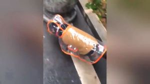 Áo mưa cho Chó Mèo bằng màng nhựa EVA trong suốt bọc viền - Love Pets Shop