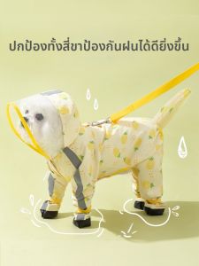 hipidog | Áo Mưa Chống Thấm Toàn Diện Cho Chó Nhỏ