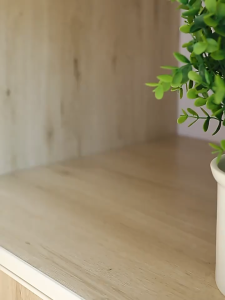 Transparent Orbix Tissue Box