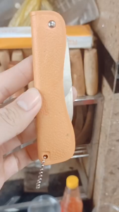 Dao gấp xếp gọn 2 trong 1 đa năng cắt gọt trái cây hoa quả khui bia mở nắp hộp dao xếp đi phượt dã ngoại #vattuducduyen