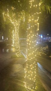 Bộ Dây Led Trang Trí Dây Led Quấn Cây Led Đúc F5 12V Trang Trí Cây Khu Đô Thị Quán Cafe Homestay Resort..