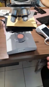 Microscope Binocular MEDX