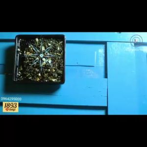 Trà hoa cúc sấy khô Đà Lạt 1893 thanh lọc cơ thể hỗ trợ ngủ ngon thư giãn đẹp da