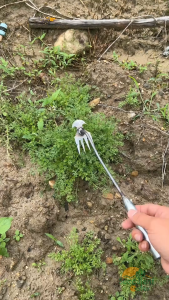 Black Weed Grass Remover Premium Gardening Tool Shovel 除草铲工具