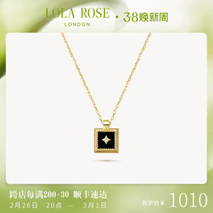 Lola Rose Fashionable Silver Necklace Womens Clavicle Rose Picture Frame Birthday Gift Elegant Luxury Minimalist Style