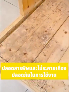 🔥นำเข้าจากญี่ปุ่น🔥น้ำยาฆ่าเชื้อรา น้ำยากำจัดเชื้อรา สเปรย์กำจัดเชื้อรา 500ml กำจัดและป้องกันเชื้อรา เหมาะสำหรับครอบครัว