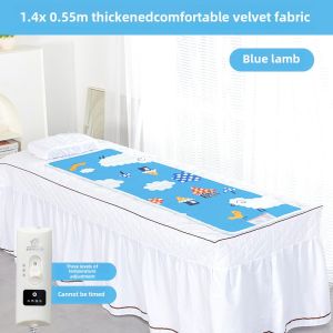 Facial Bed Electric Blanket Single Beauty Salon Dedicated Massage Couch Small For Home Small Size Electric Blanket on Sofa