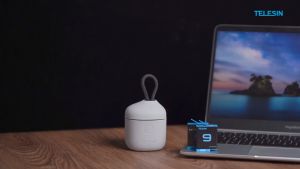 Hộp sạc Telesin 3 pin dành cho Gopro Hero 9 10 11 12 Black - Hàng chính hãng