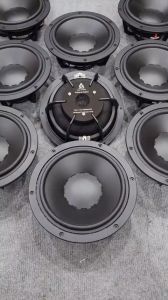 Loa Arouse Bass 20 Từ Neo Coil 75