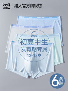 Ice Silk Boys Underwear Teenage Childrens Boxer Shorts Large Male Children Summer Development Period High School Boys Boxer Shorts