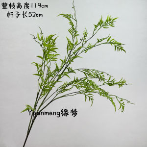 Đồ Trang Trí Hoa Nhựa Mềm Ba Tư Lá Biển Cát Xanh Hoa Nhựa Cây Xanh Fern Dùng Trong Phòng Mẫu Trang Trí Nhà