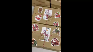 Buy 1 Take 12 Ultimate Cinnamoroll Gift Box Sanrio Super Pack 11 Unique Treasures Dolls& More