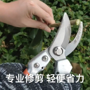 COD กรรไกรตัดกิ่งไม้ กรรไกรตัดสวน กรรไกร ด้ามจับออกแบบตามหลักสรีรศาสตร์ ตัดแต่งกิ่งและใบไม้ เก็บผลไม้