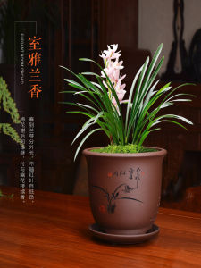 Chậu Hoa Gốm Sứ Phong Cách Cổ Điển Đa Đức Cho Hoa Lá Cây Trong Nhà Chậu Hoa Cát Sen Màu Đỏ Và Xanh Lá Cây Có Đĩa Đựng Nước