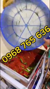 Máy trộn sốt kim chi gia vị thịt nướng 5-30kg - Bảo hành 12 tháng