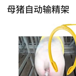 Sows Artificial Insemination Auxiliary Clamp Big Size Pig Insemination Clip Holder