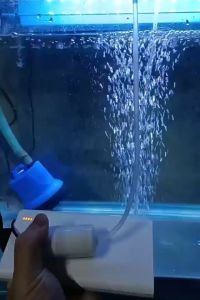 เครื่องปั๊มออกซิเจน USB ขนาดเล็ก แบบพกพา ประหยัดพลังงาน สําหรับตู้ปลา ปั้มอากาศ ปั้มอ๊อกซิเจน (ส่งจากไทย)