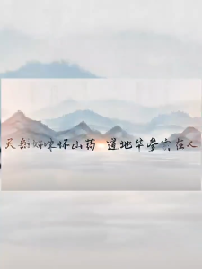 Yam Kering Waisan Ubi China Shan Yao Kualitas Premium 150g