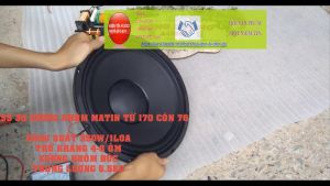 Loa bass 30 martin xương cong nhôm đúc cực chất -gí 1 đôi