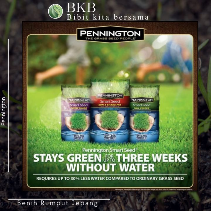Jual%20Benih%20Rumput%20Jepang%20100Gram%20-%20Benih%20Rumput%20Jepang%20100G%20Diskon%2010%25%20-%20Image%202