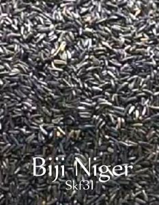 Biji Niger Niger Seed Kemasan 500 gr Pakan Burung Siskin Campuran Pakan Burung Kenari dll