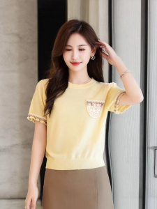 plus Size Knitwear round Neck Summer Vacation Fashion Simple Top for Plump Sister European Style Casual Loose Fit Short Sleeve