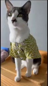 Pet Batik Shirt for Cats and Small Dogs Bright Olive Green Floral and Abstract Motives by Furry Finds Hub