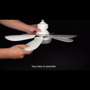 30W/40W Fan ceiling light 3500K-6000K color/Brightness adjustable/Timing function/3 Wind speed E27 Light bulb LED Fan lamp With remote control