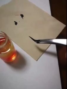 น้ำยาล้างคราบกาวบนคีมคีบขนตา: ใช้งานง่าย 100% ครับ