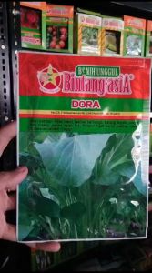 Benih Bibit CESIM SAWI DORA 25gr Bintang Asia 10 TOSAKAN SINTA