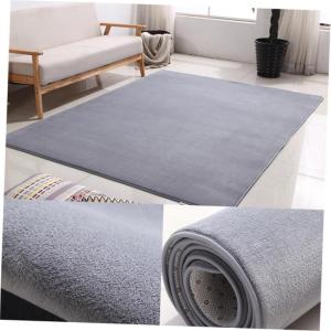Bedroom and Living Room Carpet