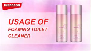 THEAOSON Bubble Toilet Foam Cleaner Stain Remover Toilet Bowl Cleaning Agent Pembersih Mangkuk Tandas 450ml  马桶泡沫清洁剂