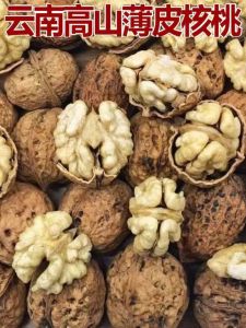 Trái Cây Khô Hạt Dẻ Nguyên Bản Mới Về Vỏ Giấy Mỏng Không Tẩy Trắng Snacks Sỉ Lẻ 5 Cân Hương Vị Tự Nhiên Hạt Dẻ Hương Vị Tự Nhiên