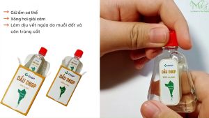Dầu gió Dược Kiên Giang DKGP